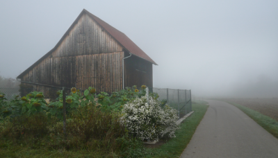 nuertingen, architecture, barn, wood 