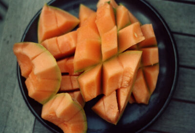 france fruit melon 