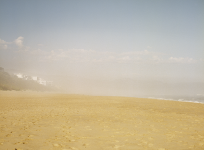 beach wilderness