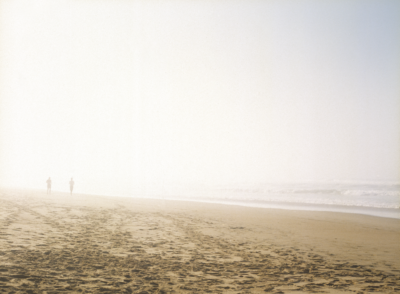beach wilderness