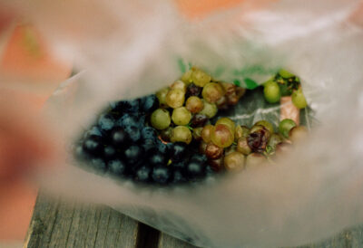 france fruits grapes