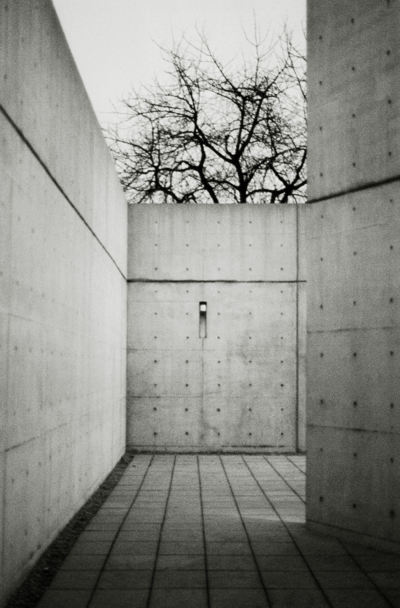 Tadao Ando