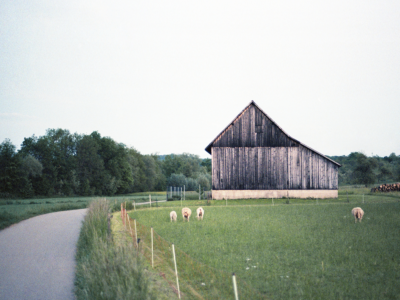 nuertingen, architecture, barn, wood 