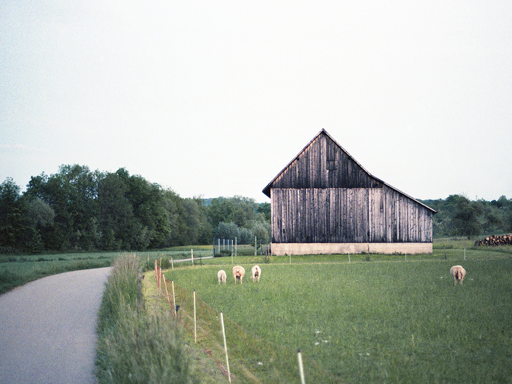 Nürtingen