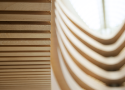 architcture, library, uzh, zurich, sanitago calatrava