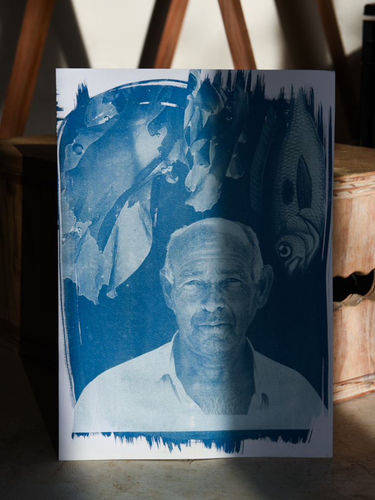 Felizblau tripadvisor 24