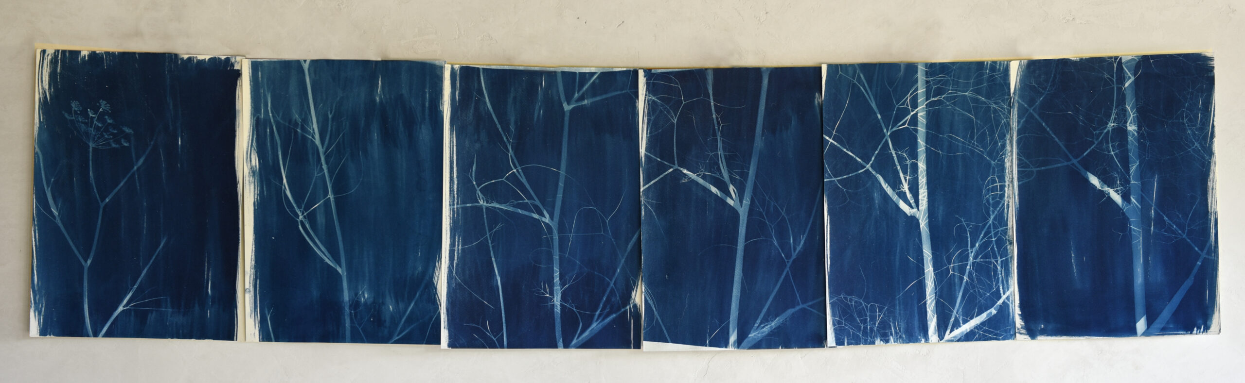 FelizBlau TestigoAzul