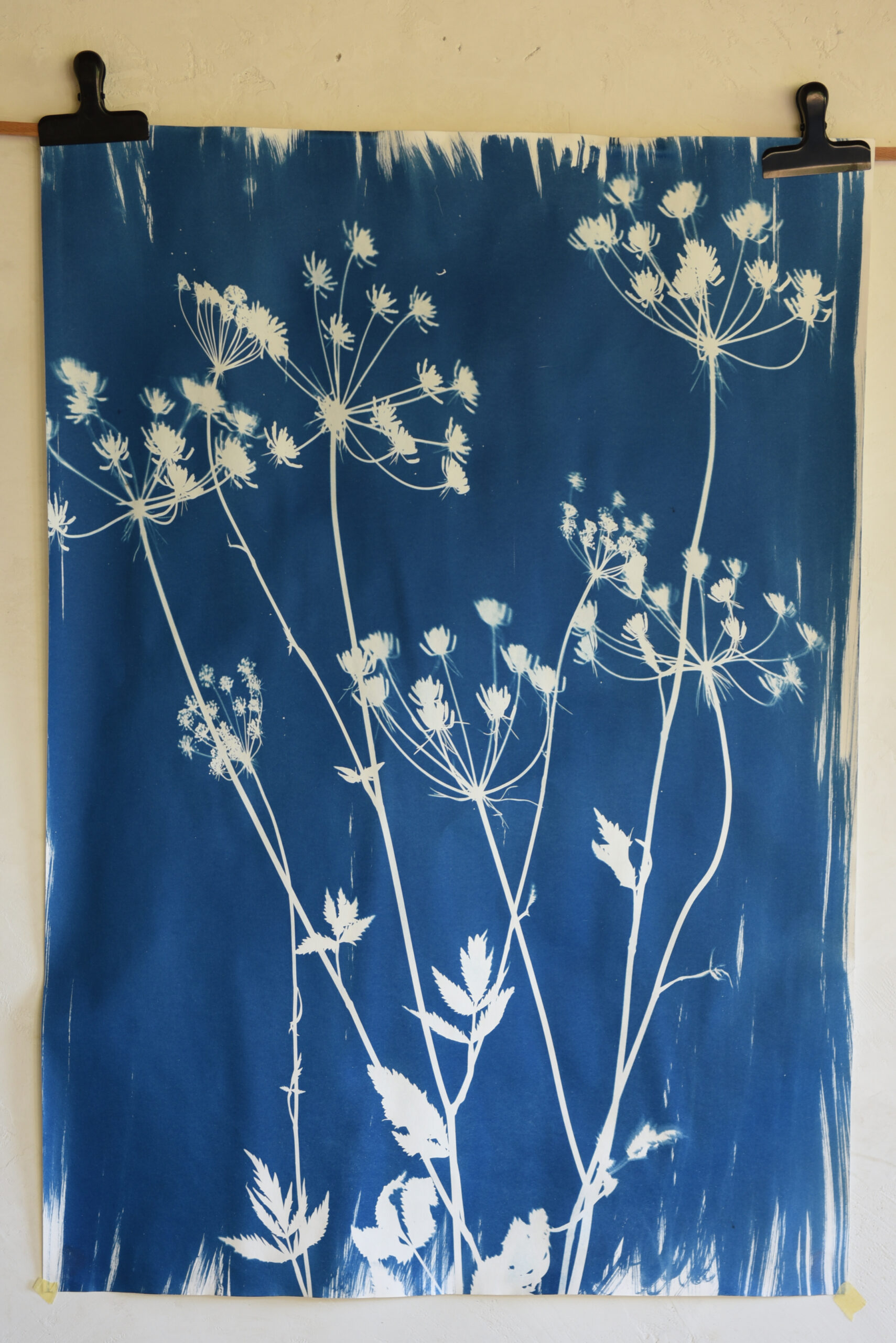 Felizblau testigoazul 08