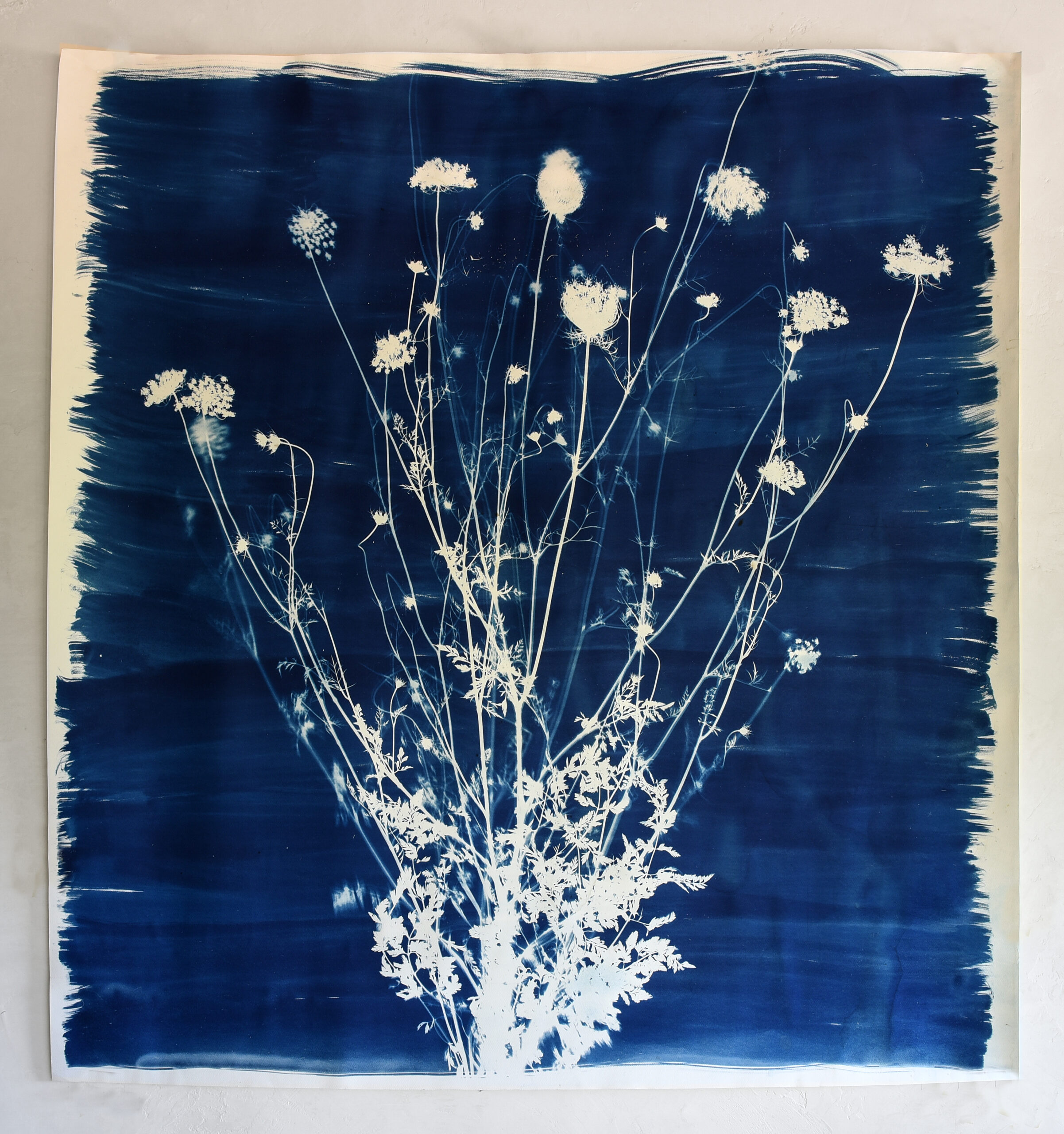 FelizBlau TestigoAzul