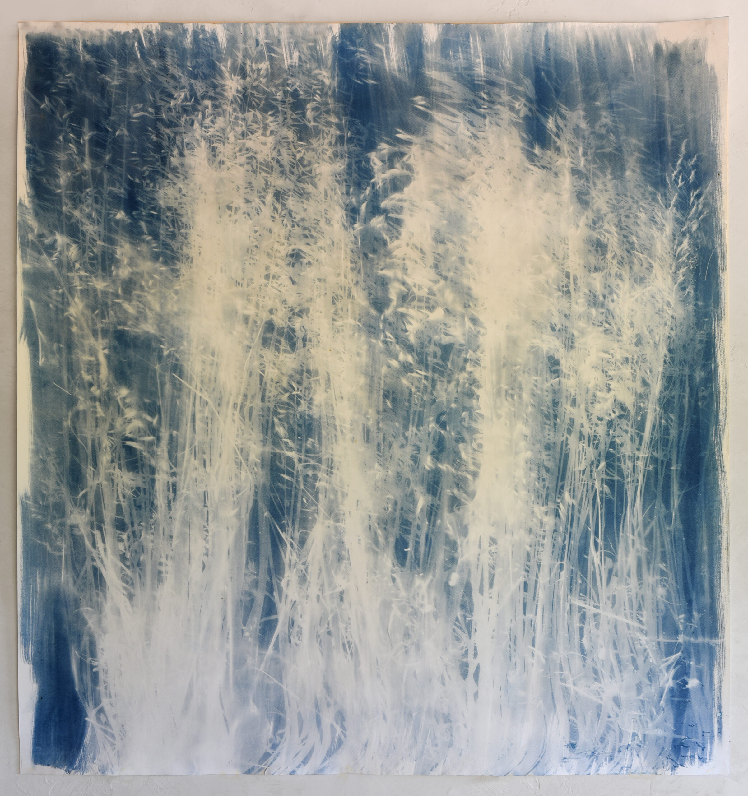 FelizBlau TestigoAzul