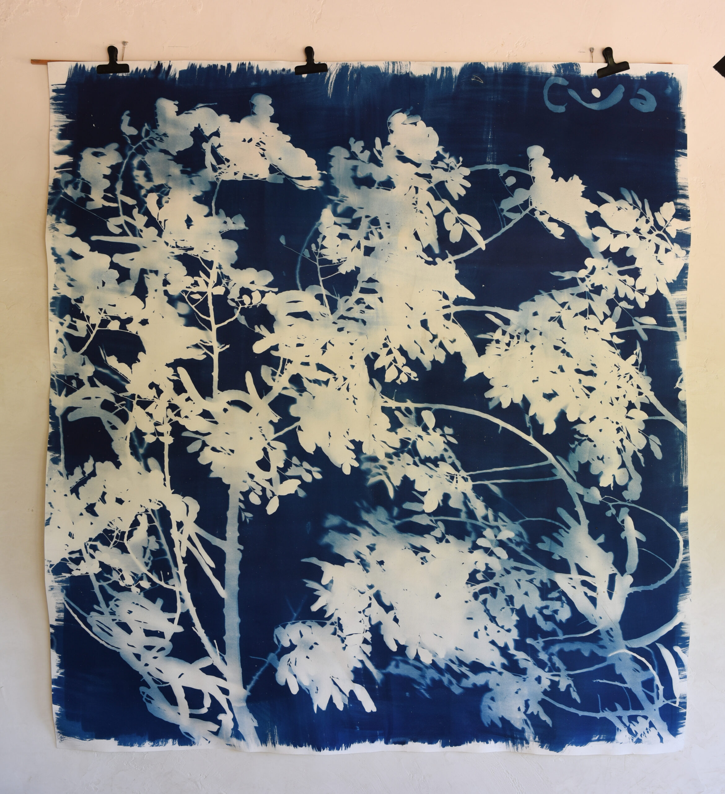 Felizblau testigoazul 32