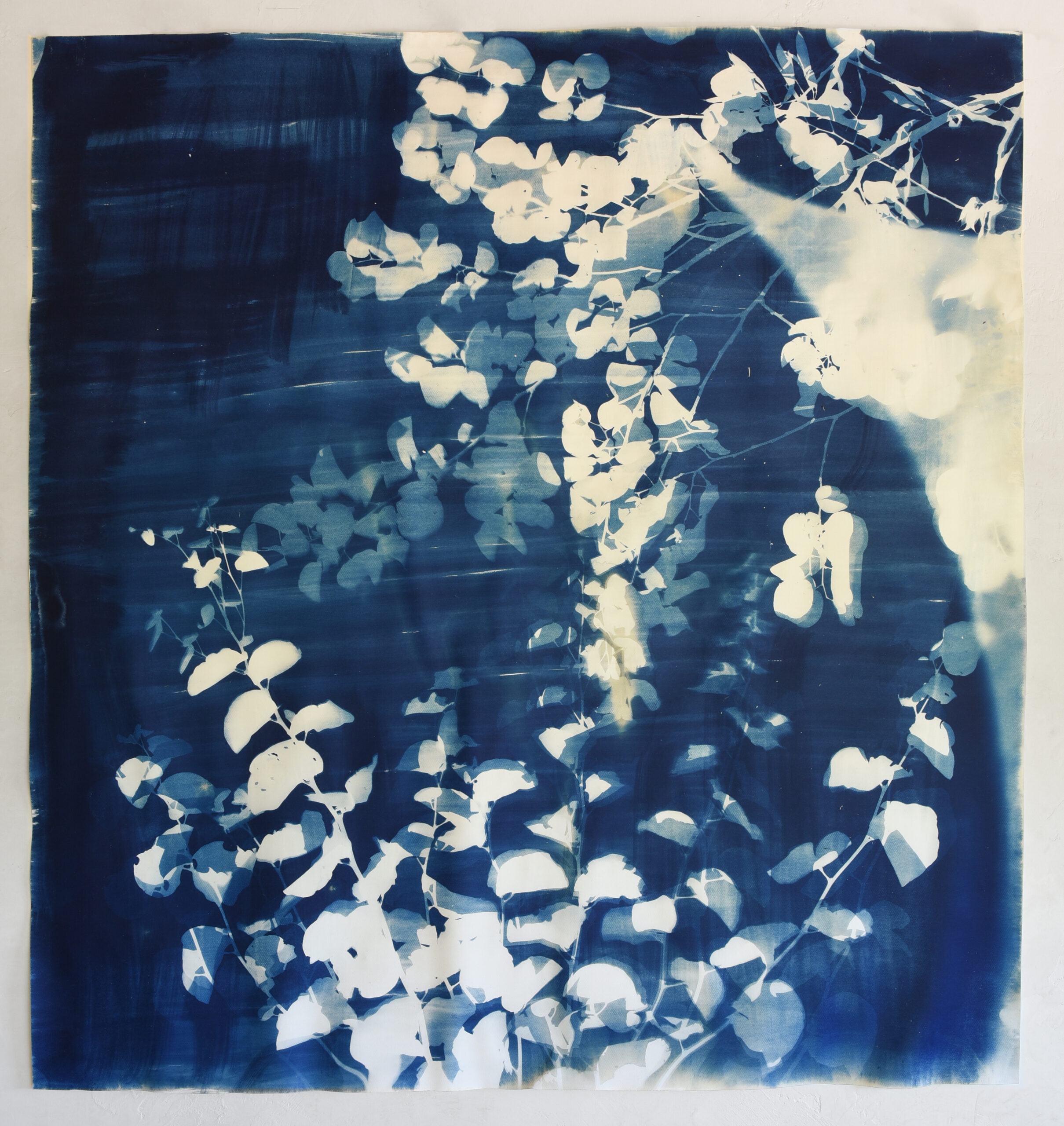 FelizBlau TestigoAzul