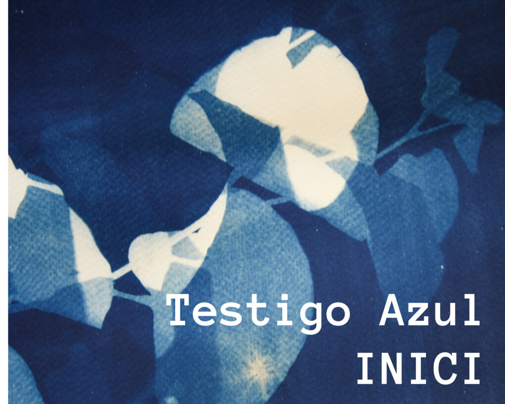 FelizBlau TestigoAzul