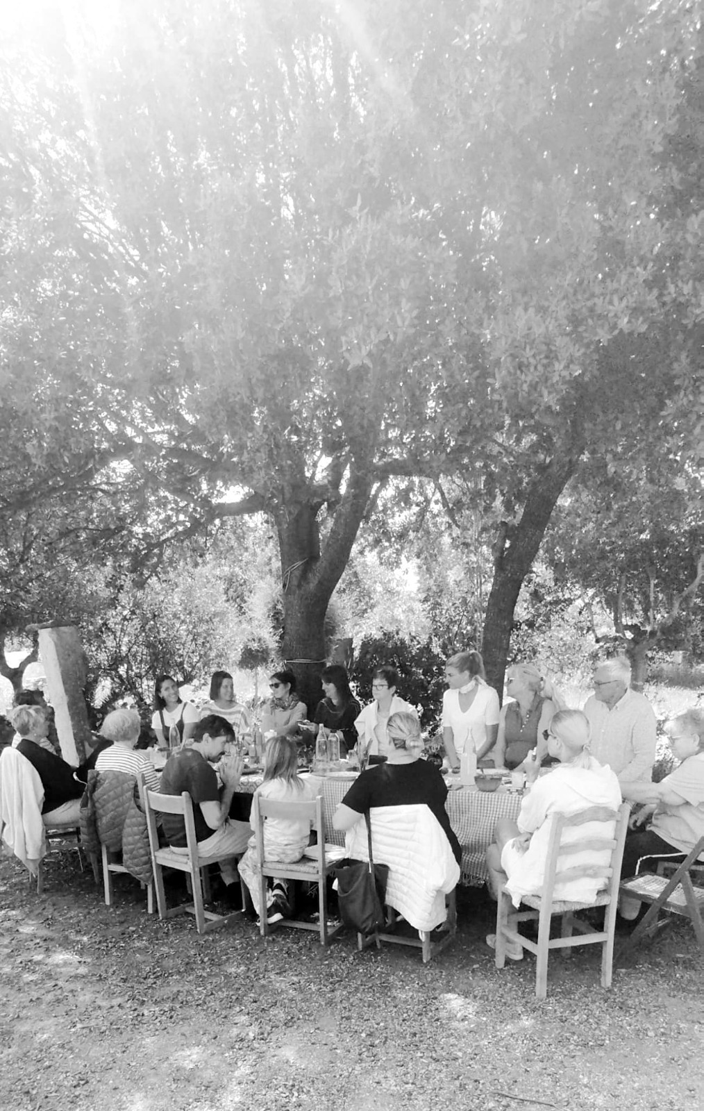 WhatsApp Image 2026 03 11 at 11.27.34