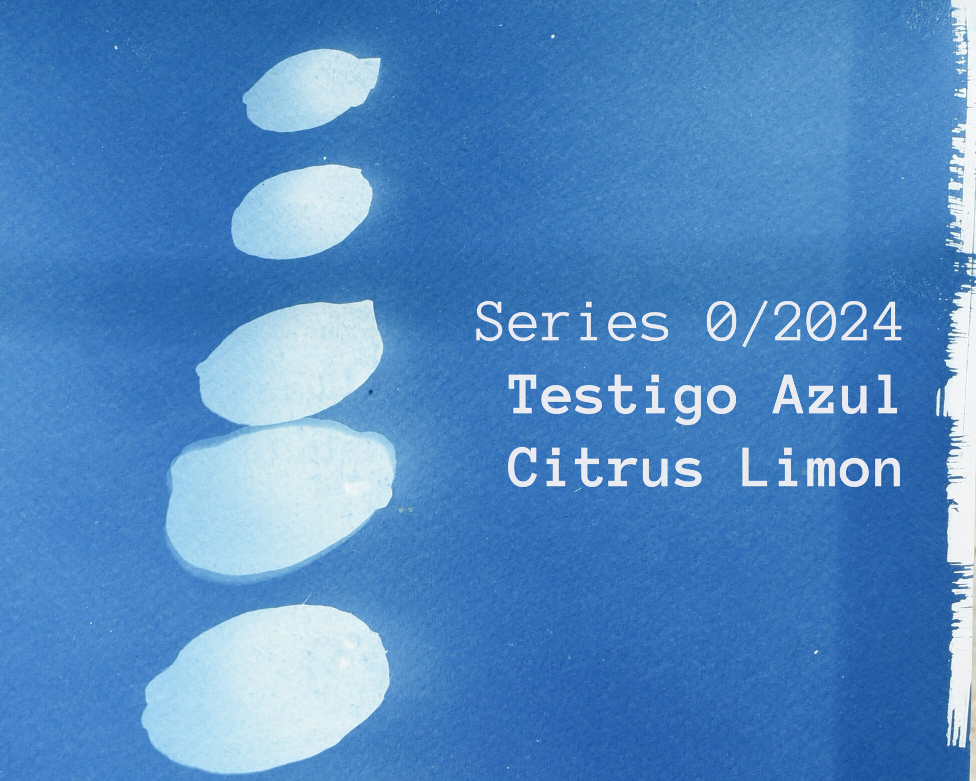 Citruslimonweb