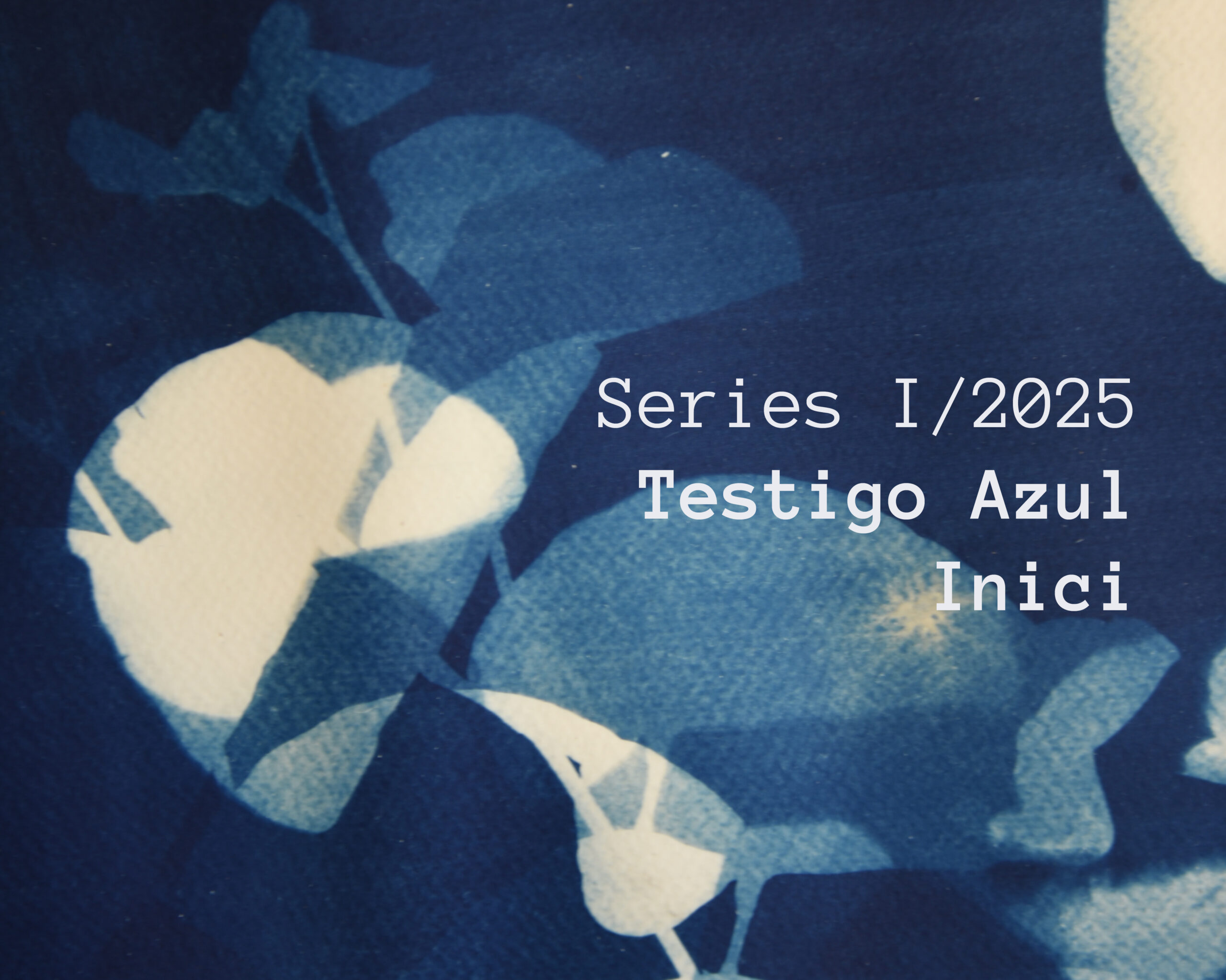 Testigoazulinici series web